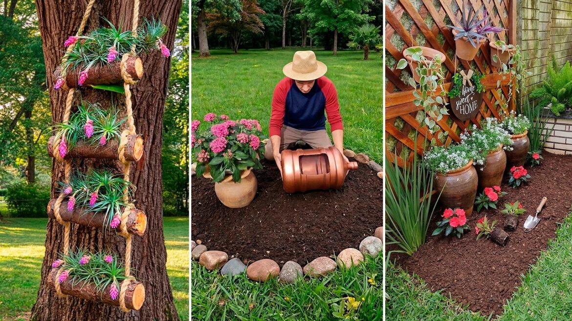 Rustic Garden: 3 Elegant Ideas to Decorate Your Space!🪵🌱 Rustic Garden: 3 Elegant Ideas to Decorate Your Space!🪵🌱