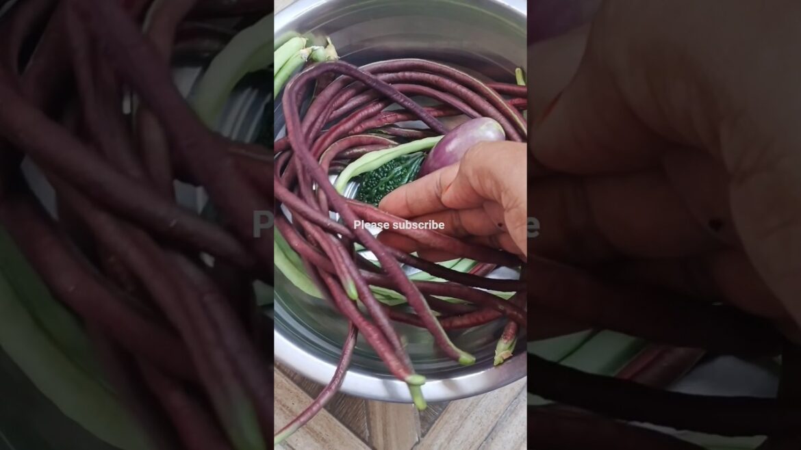 Terrace garden harvesting and tips to pest control  #shots