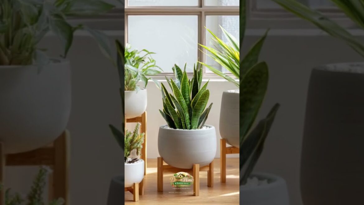 πΏ Home & Garden Trends 2026 You NEED to Try! π‘β¨ Smart, Stylish & Sustainable Ideas πΏ Home & Garden Trends 2026 You NEED to Try! π‘β¨ Smart, Stylish & Sustainable Ideas