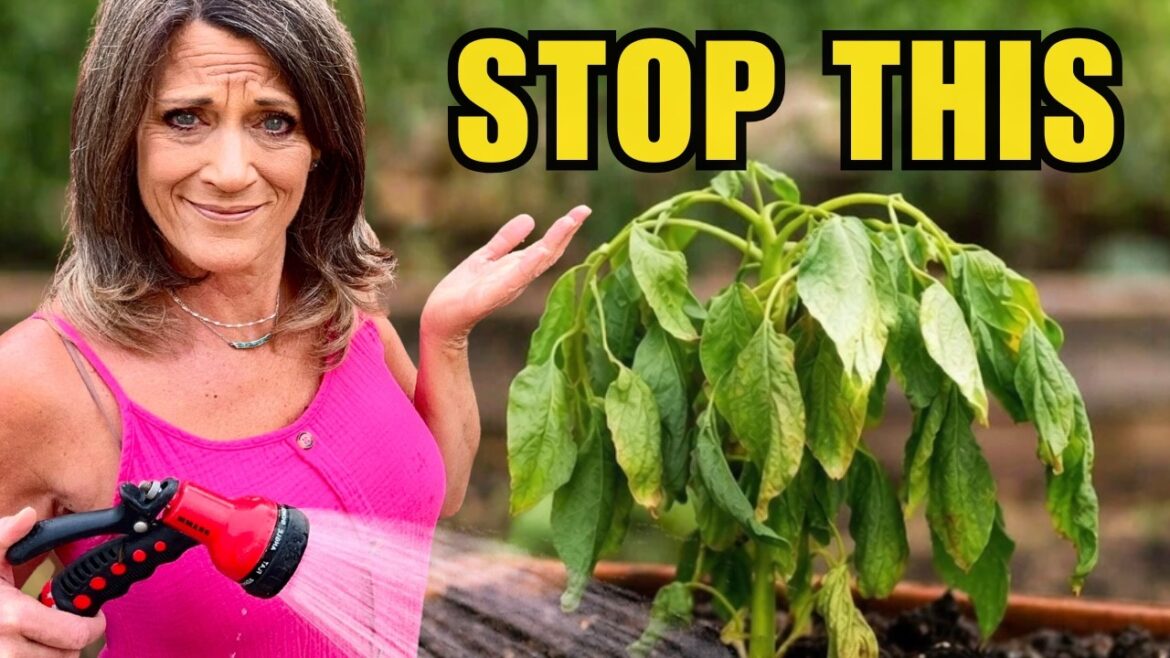 CaliKim: The Worst Ways to Water Your Garden (Stop Doing This Now) The Worst Ways to Water Your Garden (Stop Doing This Now)
