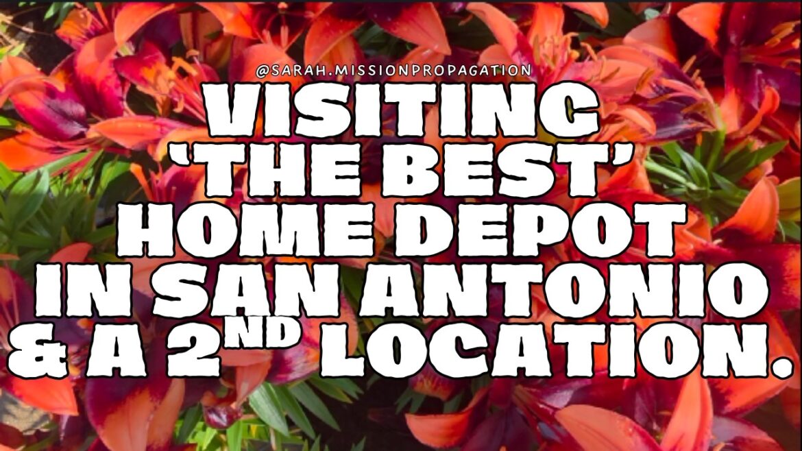 'The Best' Home Depot in town + A 2nd Home Depot Location