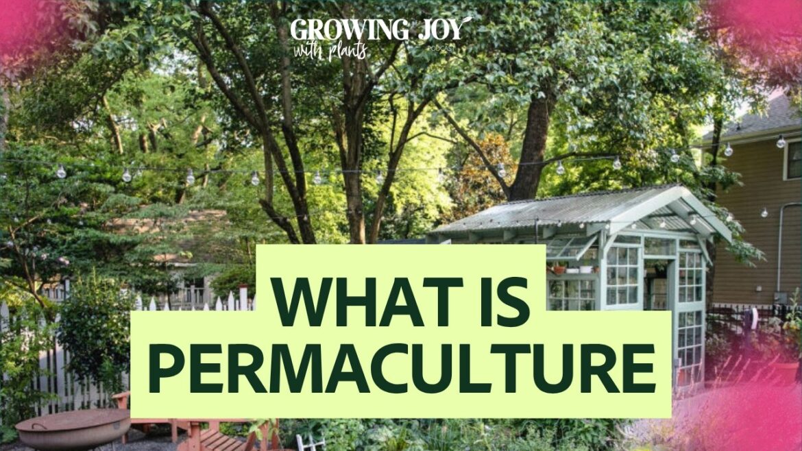 Permaculture for Plant Parents: The Simple Gardening Method That Gives Back Permaculture for Plant Parents: The Simple Gardening Method That Gives Back