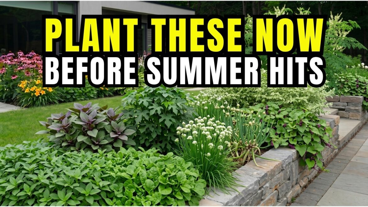 These 10 Tough Perennials Grow Like Crazy in Brutal Summers | Plant Once, Eat Forever