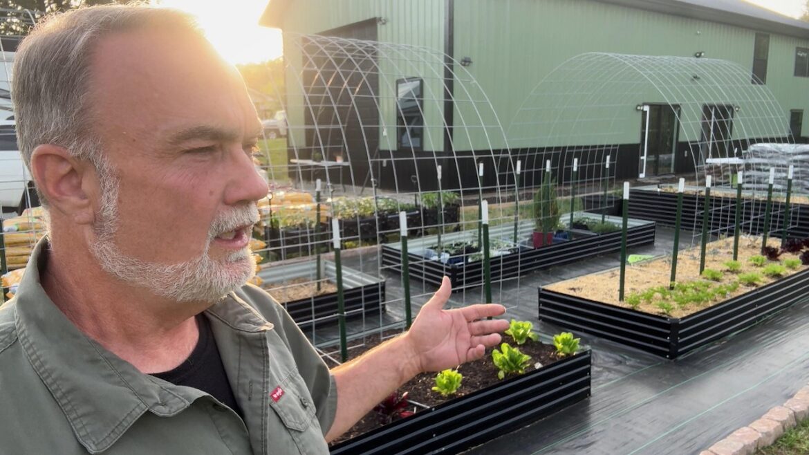Mulching Mistakes and Insect Invasions: Our Honest Garden Update