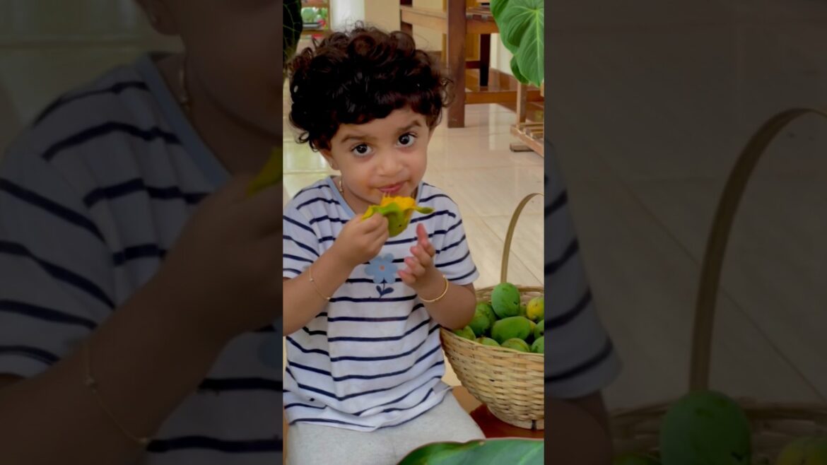 നാട്ടുമാങ്ങ പെറുക്കാൻ പോയപ്പോൾ 😍#shorts #viral #yummy #garden #tanimalayali #familyfun #funny
