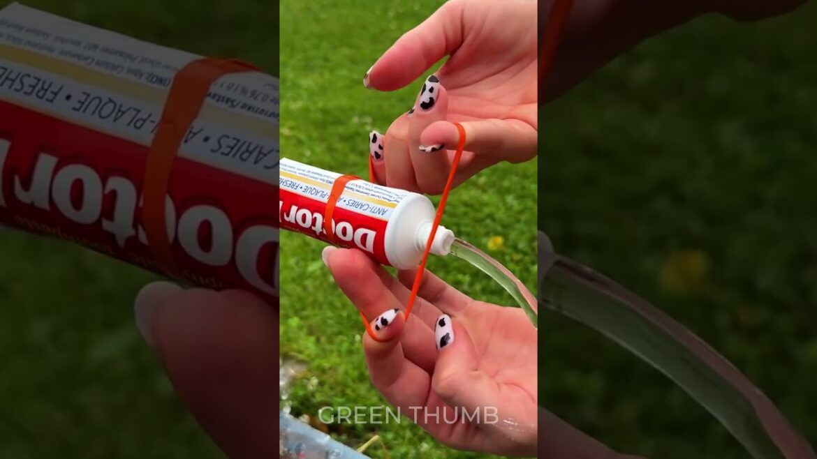 From Bathroom to Garden: The Coolest Toothpaste and pipe hack ever! 😜