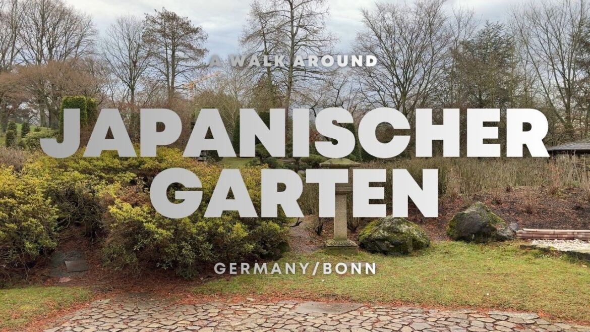Silent Walk in Japanischer Garten, Bonn | Quiet January Nature Escape Silent Walk in Japanischer Garten, Bonn | Quiet January Nature Escape