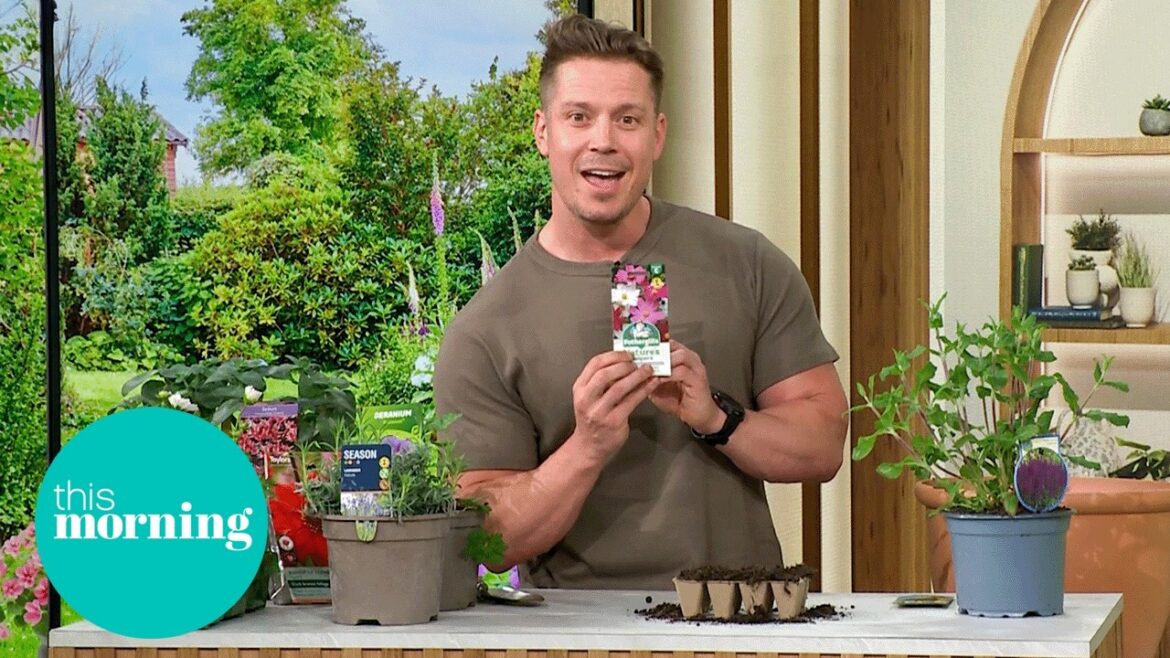 What to Plant Now for The Perfect Summer Garden | This Morning What to Plant Now for The Perfect Summer Garden | This Morning