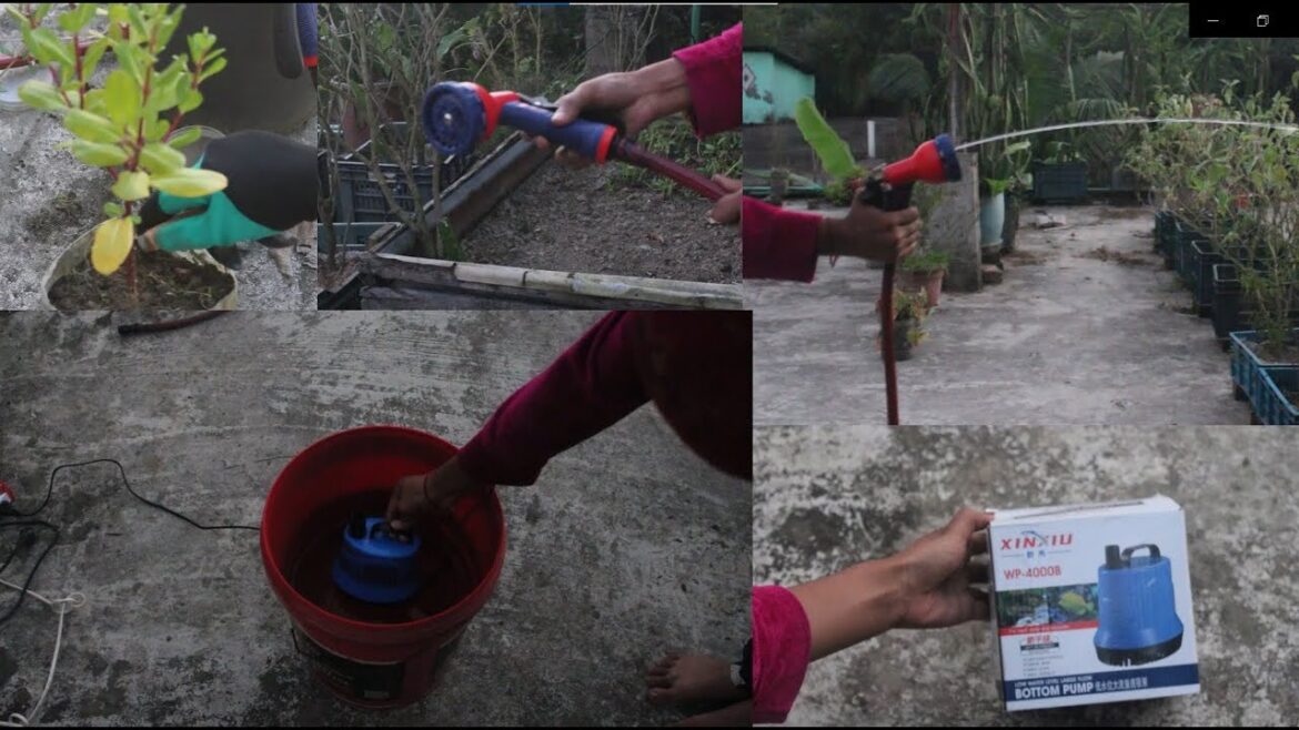How to make a water supply for garden. #shorts #gardening #greenrooftop #gardendesign How to make a water supply for garden. #shorts #gardening #greenrooftop #gardendesign