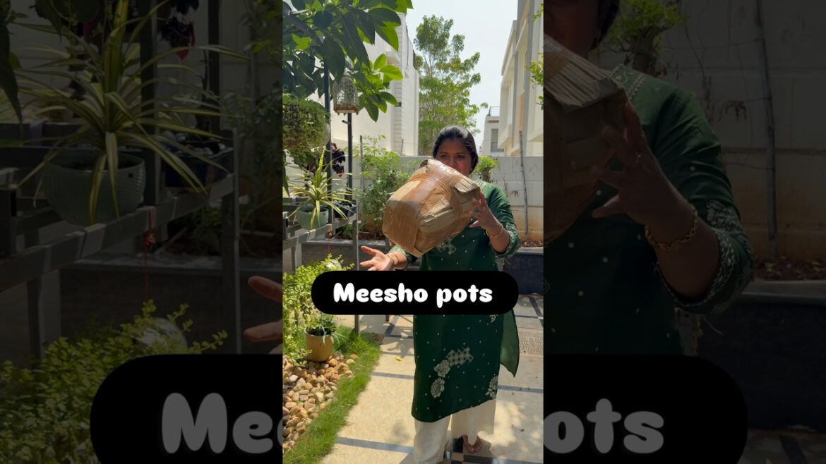 Pot in pot method uses #youtubeshorts #gardening #shorts #trending