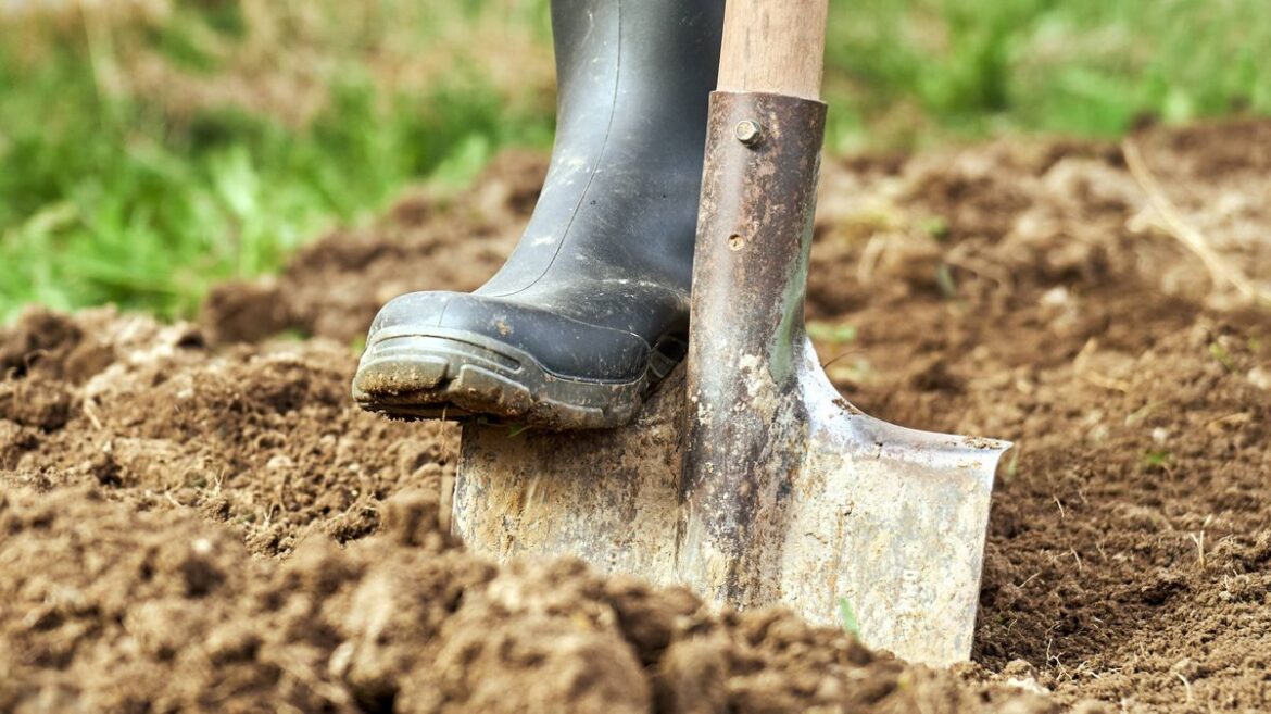 Woman digs up garden and makes ‘creepy’ discovery that changes her life forever Daily Mirror