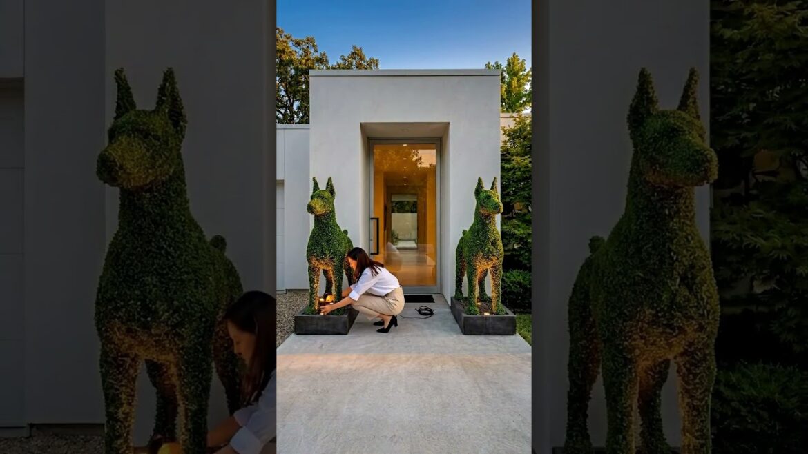 Incredible Dog Topiary Transformation 🌿✨ Wait for the night reveal! Incredible Dog Topiary Transformation 🌿✨ Wait for the night reveal!
