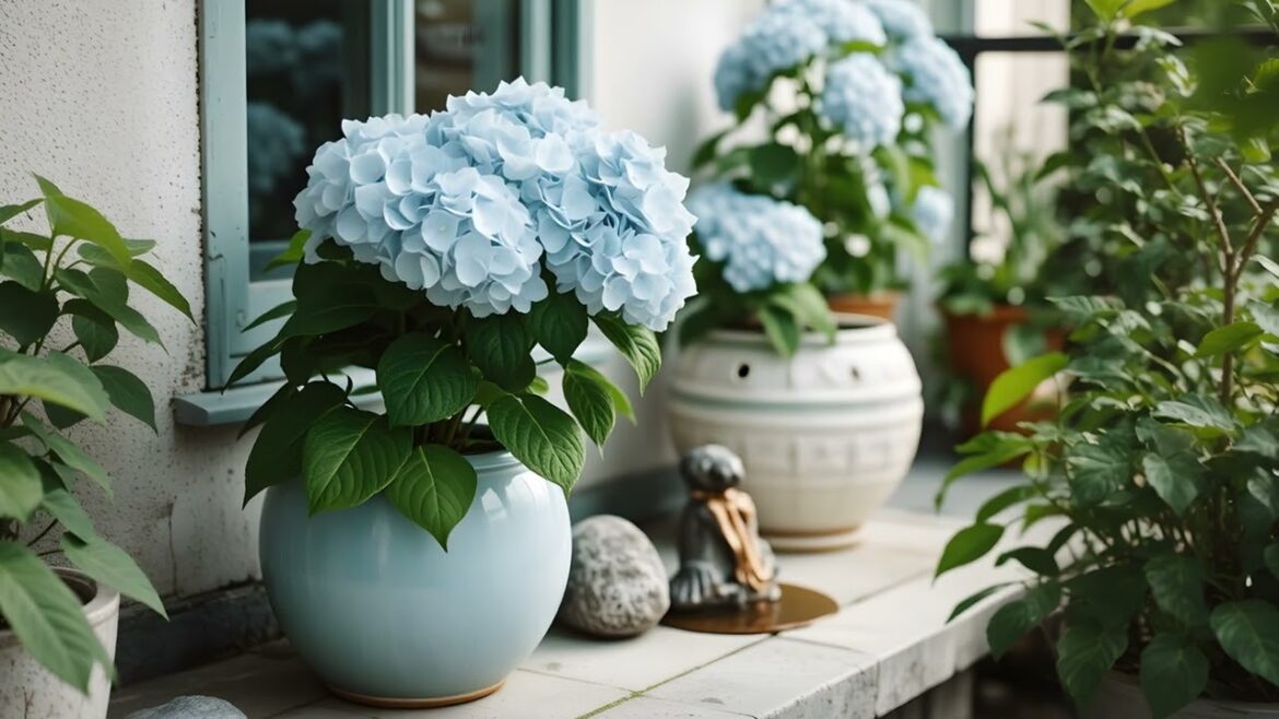 Year-Round Japanese Garden Design | Seasonal Plants for Every Zen Moment Year-Round Japanese Garden Design | Seasonal Plants for Every Zen Moment
