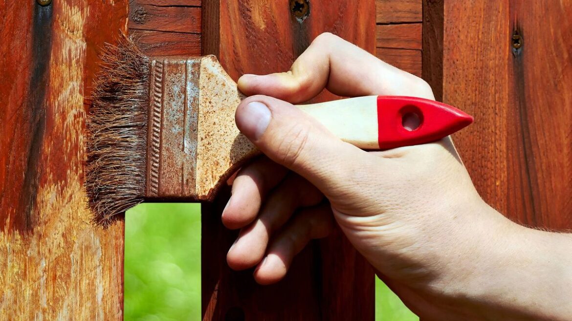 Can I paint the garden fence question answered as solicitor warns it’s not straightforward Wales Online