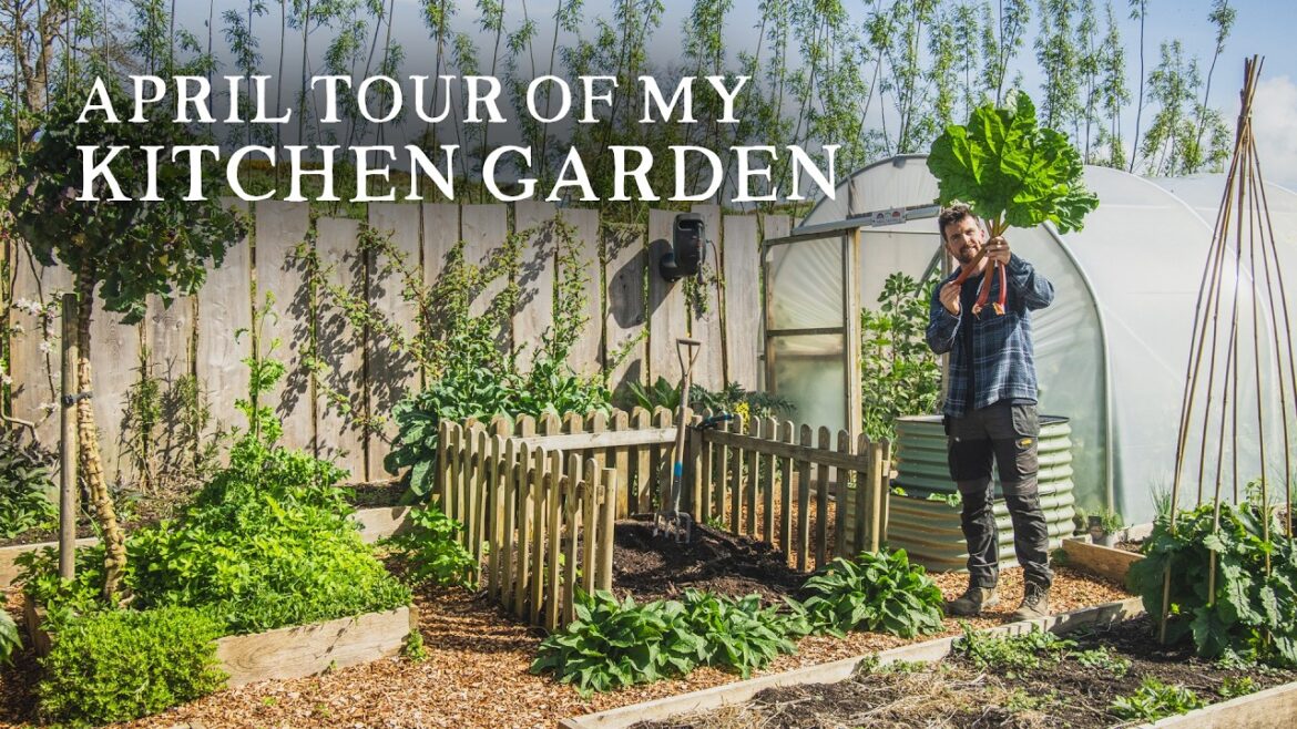 Full Tour of my Kitchen Garden in Mid Spring | Plans for 2026