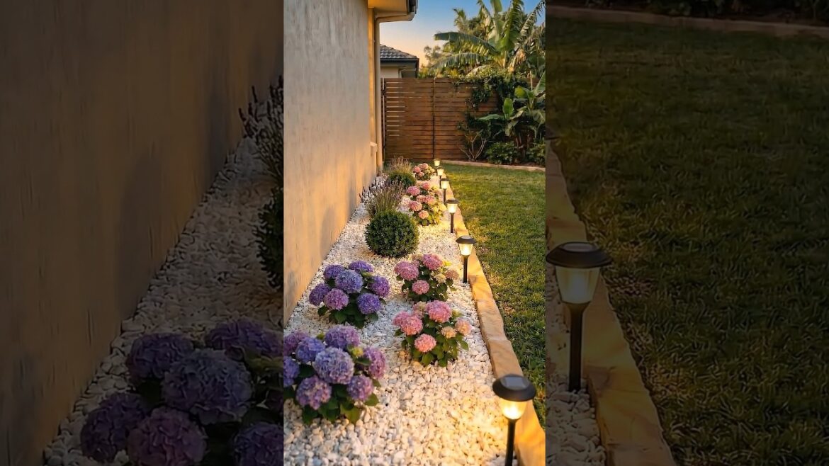 This Simple Garden Bed Looks So Elegant at Night ✨🌸 This Simple Garden Bed Looks So Elegant at Night ✨🌸