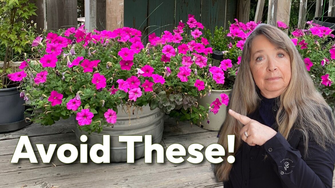10 Container Gardening Mistakes to Avoid!
