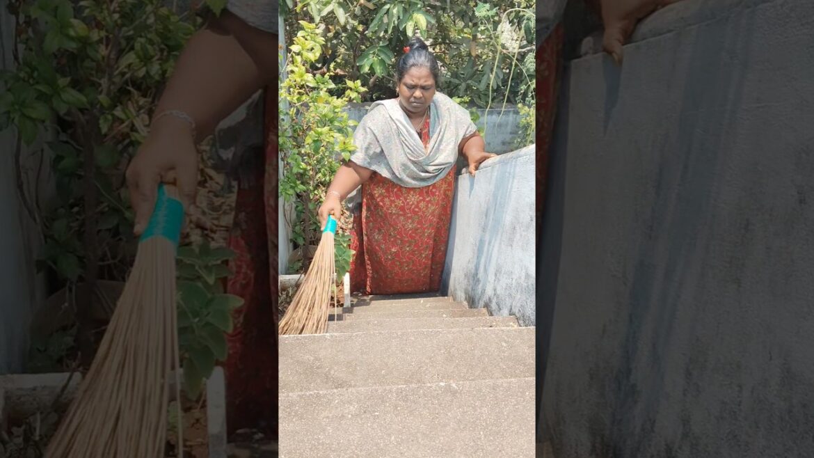 minivlog 🌺 #832 இப்படி ட்ரை பண்ணுங்க நல்லா பூ பூக்கும் #minivlog #dailyvlog #garden #cleaning #tips