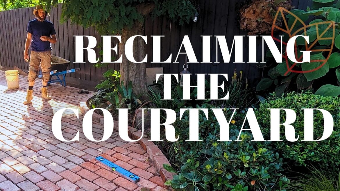 Transforming a Courtyard That Never Worked Properly