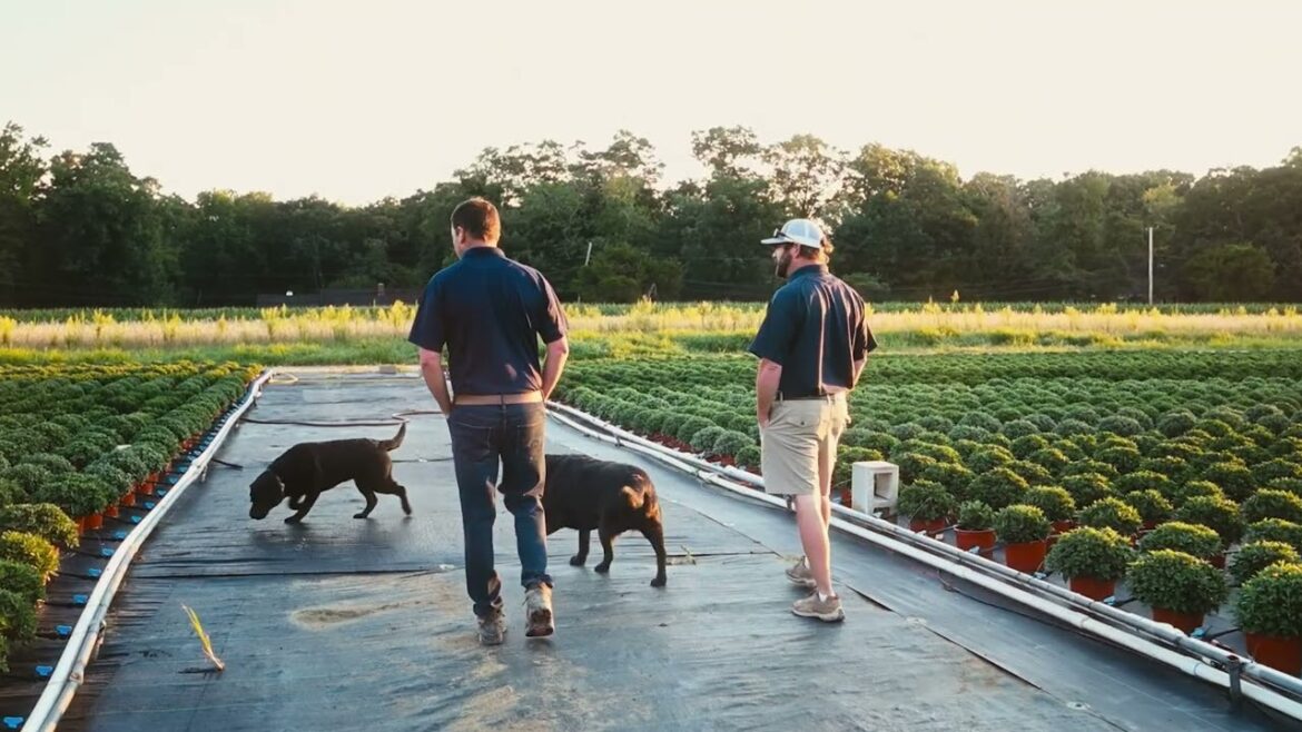 2026: A New Chapter on the Farm | Barlow’s Farm & Flowers