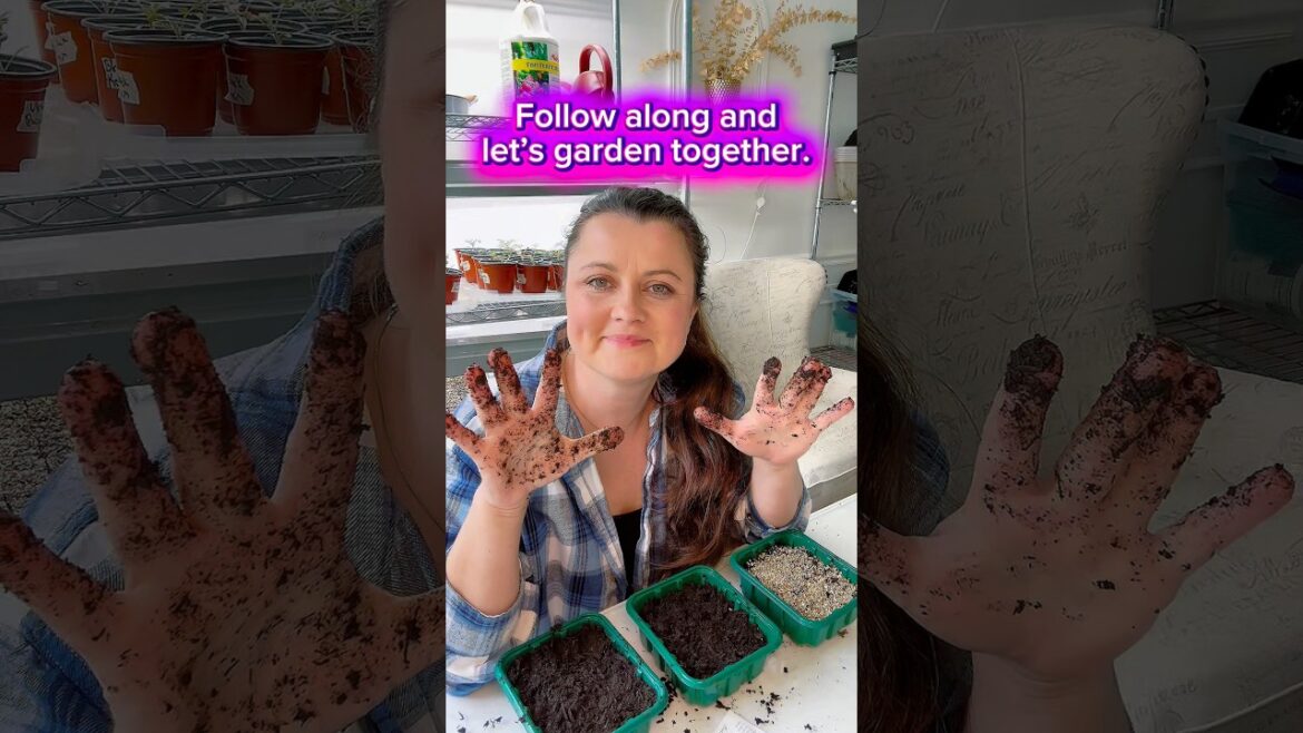 FREE container #growingindependence #gardening #shorts #seedstarting #container#zone6 #flowers #soil