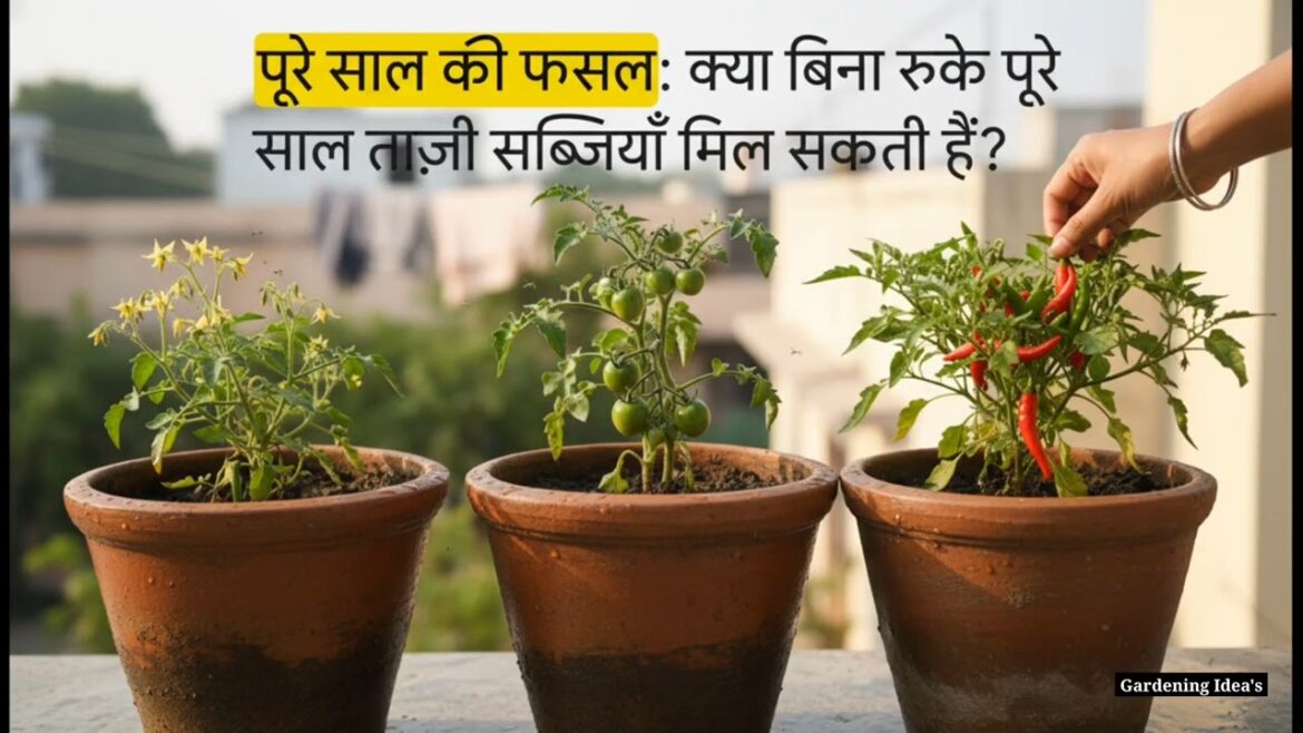 पूरे साल उगने वाली सब्जियाँ | 12 Month Vegetable Gardening Guide 🌱 #Gardening #Vegetables