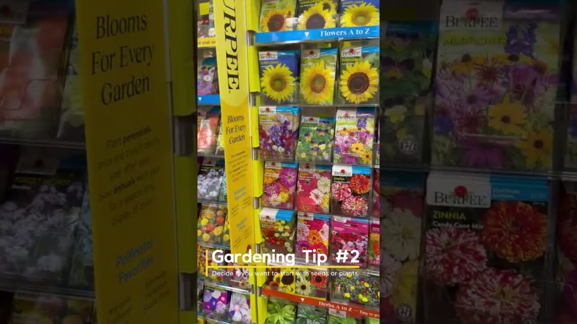 Top 5 Tips for First Time Gardeners