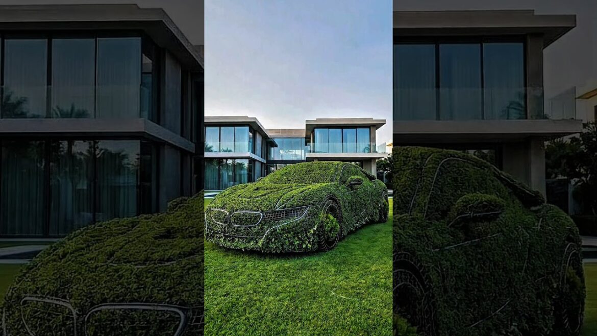 “From Bushes to garden 🏡& super car 🚗 | Satisfying Garden Transformation” #shorts #gardening “From Bushes to garden 🏡& super car 🚗 | Satisfying Garden Transformation” #shorts #gardening