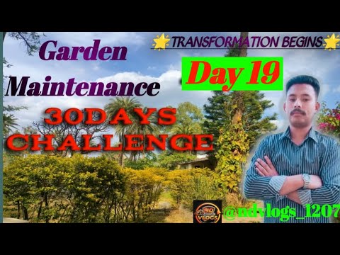Garden maintenance || Day 19 || 30Days challenge #Abu Raj #garden @NDVLOGS1207 Garden maintenance || Day 19 || 30Days challenge #Abu Raj #garden @NDVLOGS1207