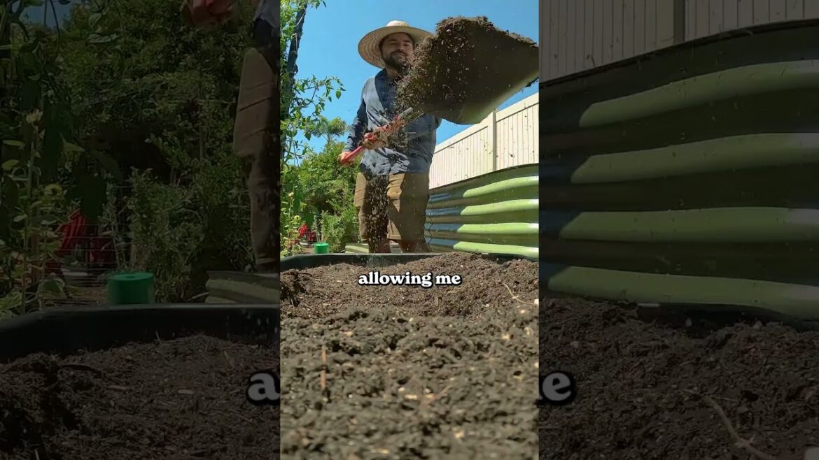 We added logs to raised beds…
