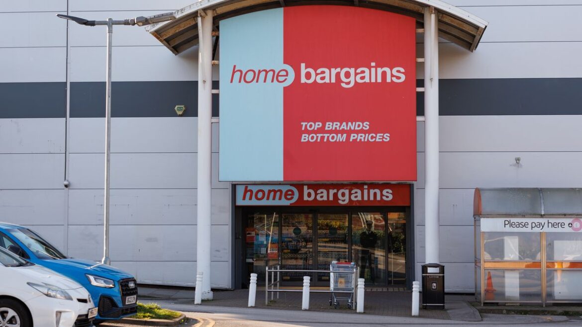 Home Bargains’ £9.99 wall basket ‘adds colour’ to your garden with ‘no maintenance’ Daily Mirror