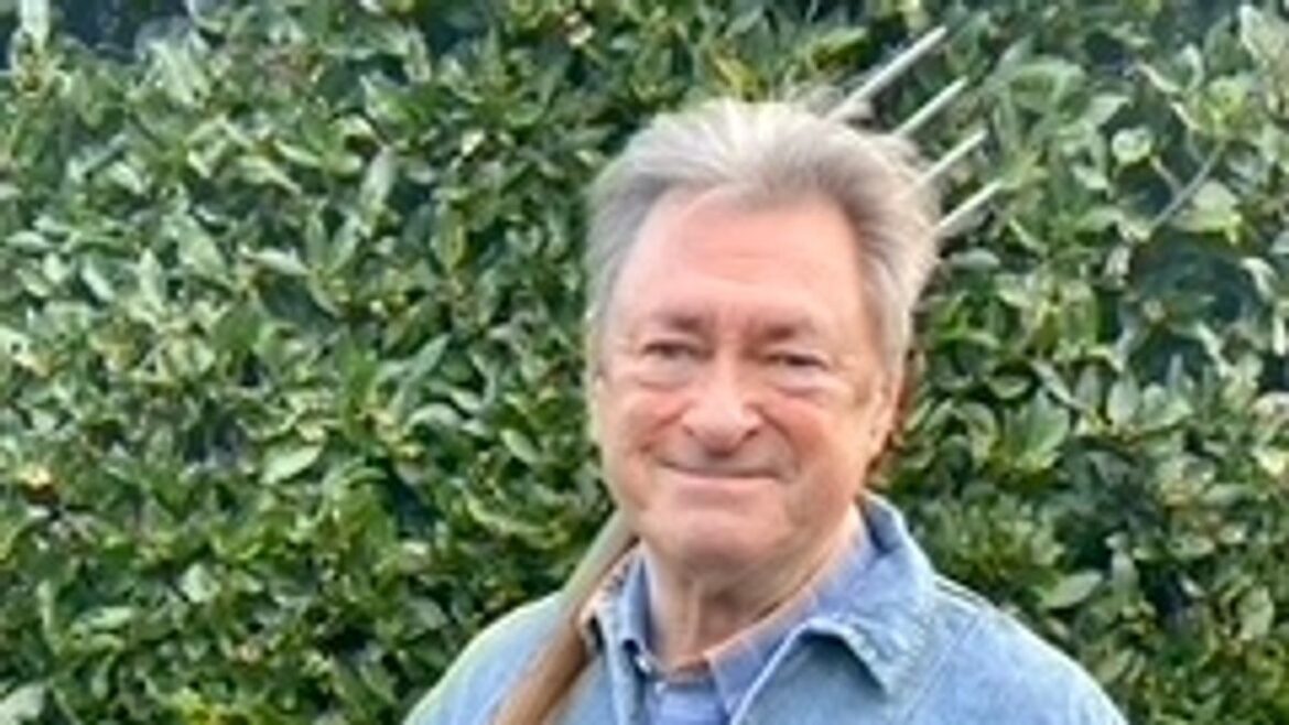 Alan Titchmarsh shares ‘critical’ thing gardeners must do when planting shrubs Daily Mirror