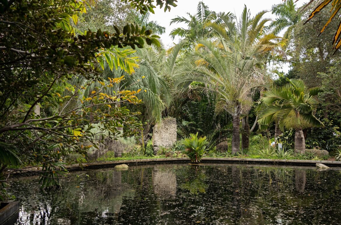 Earth Day Sound Bash | Miami Beach Botanical Garden Earth Day Sound Bash | Miami Beach Botanical Garden