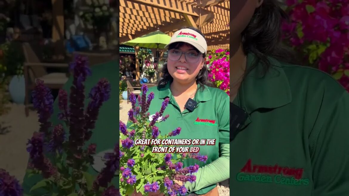 These plants will save your pollinator garden #pollinators #gardening #plants These plants will save your pollinator garden #pollinators #gardening #plants
