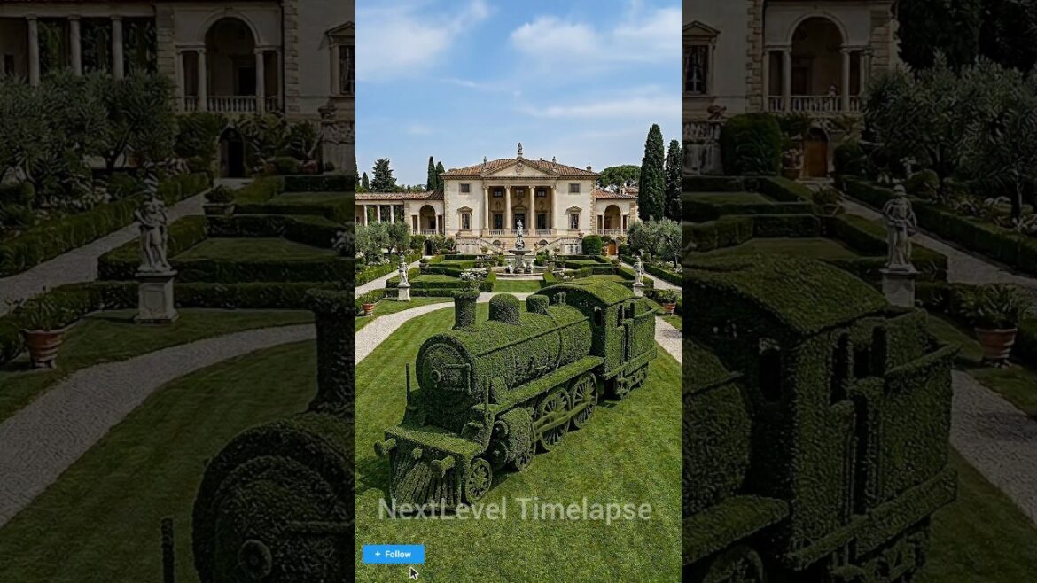 Steam Train Topairy Garden Design #DIY #viraltopiary #timelapse #transformation #gardening