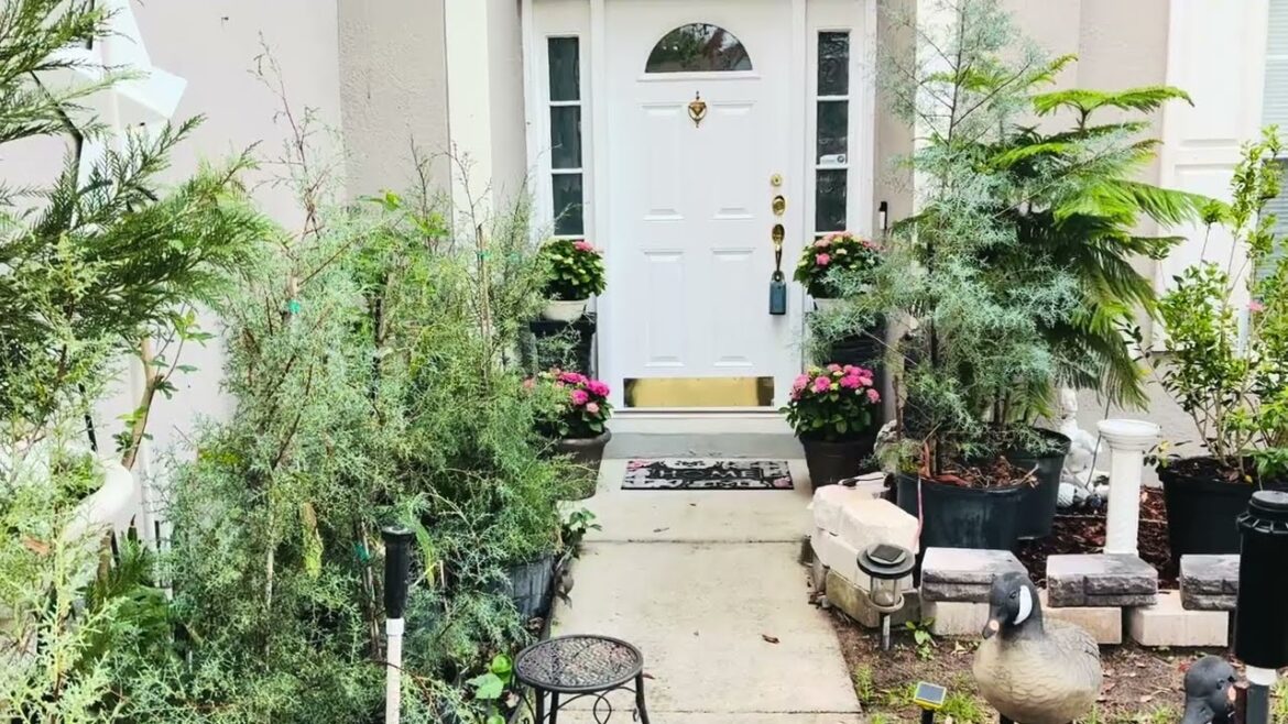 Welcome back again Guys For another front yard garden tour ￼March 2026