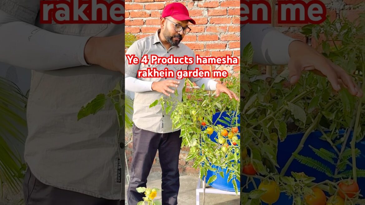 Ye 4 Products hamesha rakhein garden me #gardening #gardningtips