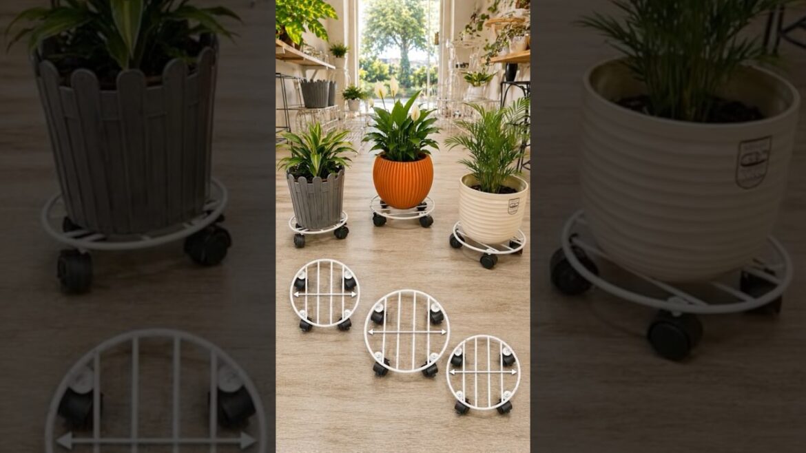 Plant pots nu move karna ho gaya super easy💪 | 360° wheel plant stand 🔥 | Ludhiana best quality 💯 Plant pots nu move karna ho gaya super easy💪 | 360° wheel plant stand 🔥 | Ludhiana best quality 💯