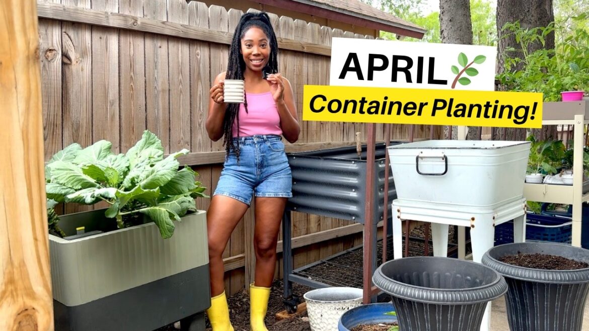 It’s April 🌷Let’s Plant My Patio Container Garden🌿 It’s April 🌷Let’s Plant My Patio Container Garden🌿