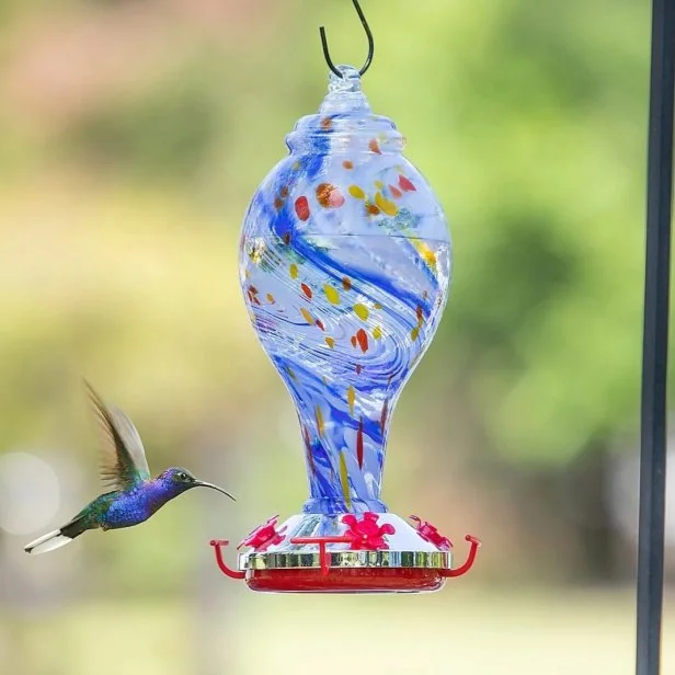 Best Birding Accessories for Your Yard 2026 Best Birding Accessories for Your Yard 2026