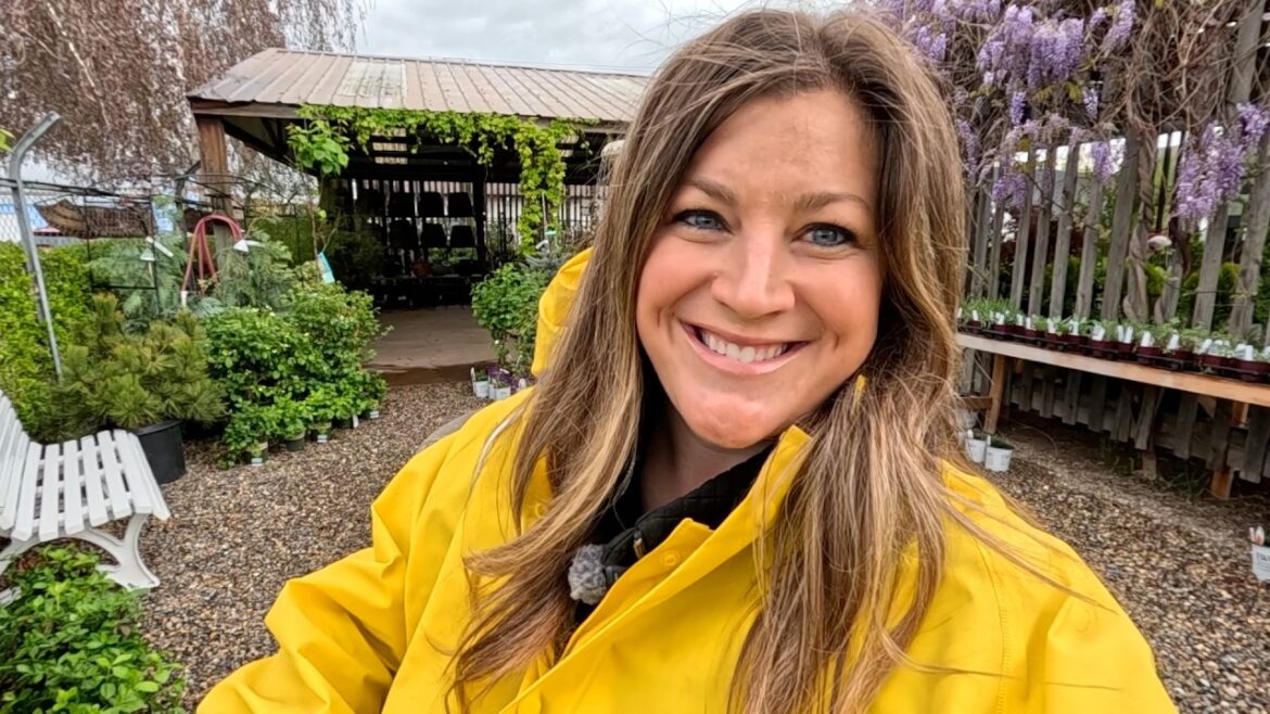 Garden Answer: Garden Center Trip + Potting a Eucalyptus & Star Jasmine! 🪴🌿🌸 // Garden Answer Garden Center Trip + Potting a Eucalyptus & Star Jasmine! 🪴🌿🌸 // Garden Answer