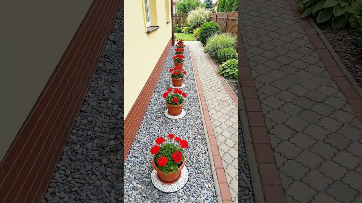 Easy Backyard Landscaping Ideas Anyone Can Copy