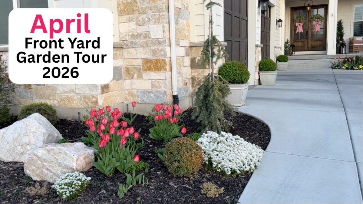 April Front Yard Garden Tour 2026!