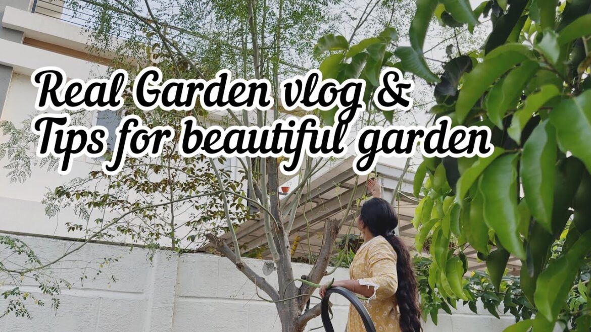 Garden Maintenance secrets|Climbers shape ఎలా చేసుకోవాలి?Real Garden vlog, Tips for beautiful garden