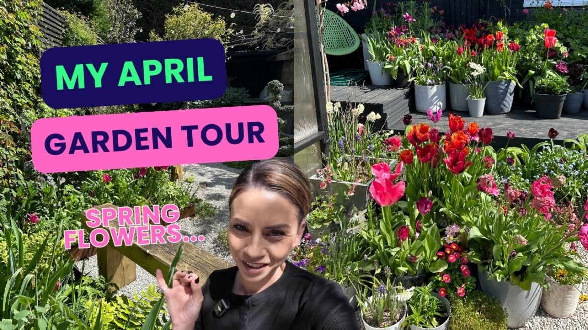 Come And See My April Garden Tour Come And See My April Garden Tour