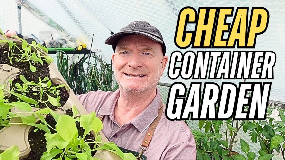 Container Gardening on a Budget: Get FREE Pots, Grow More Food! Container Gardening on a Budget: Get FREE Pots, Grow More Food!