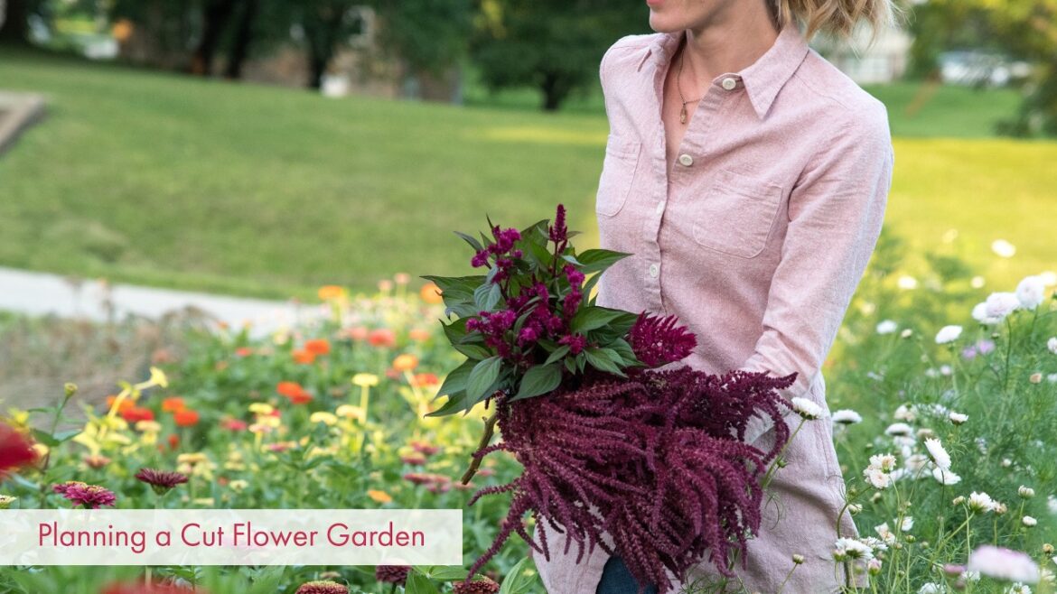 Planning Your First Cut Flower Garden