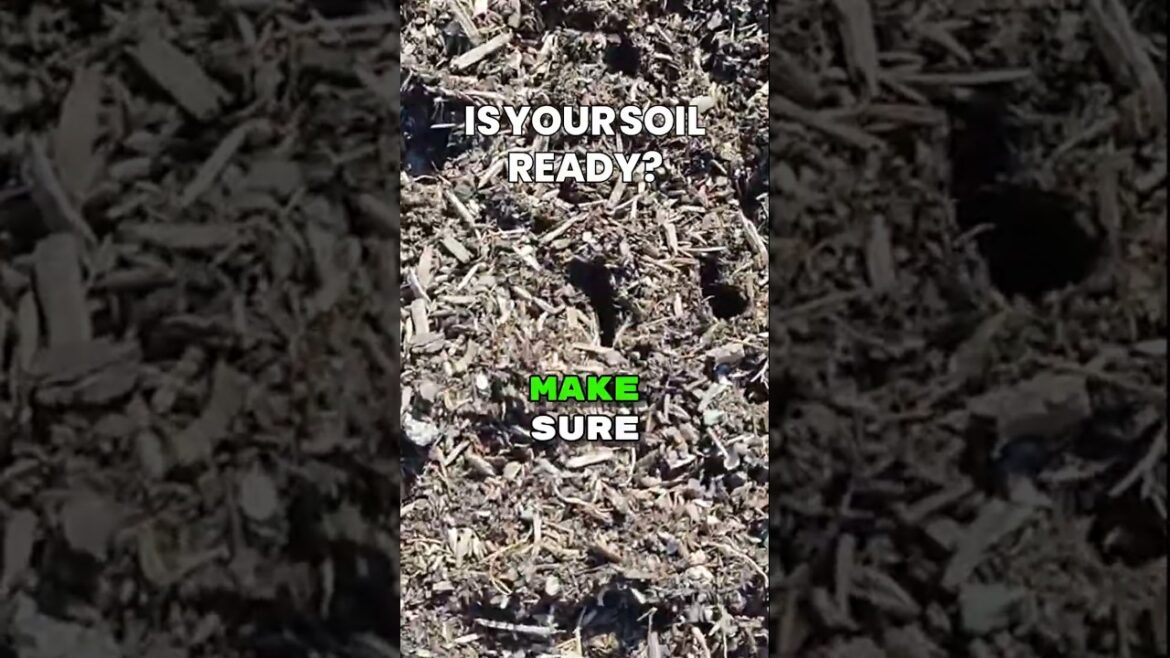 Avoid Compacted Soil: Gardening Tips You Need to Know! #gardening #shorts