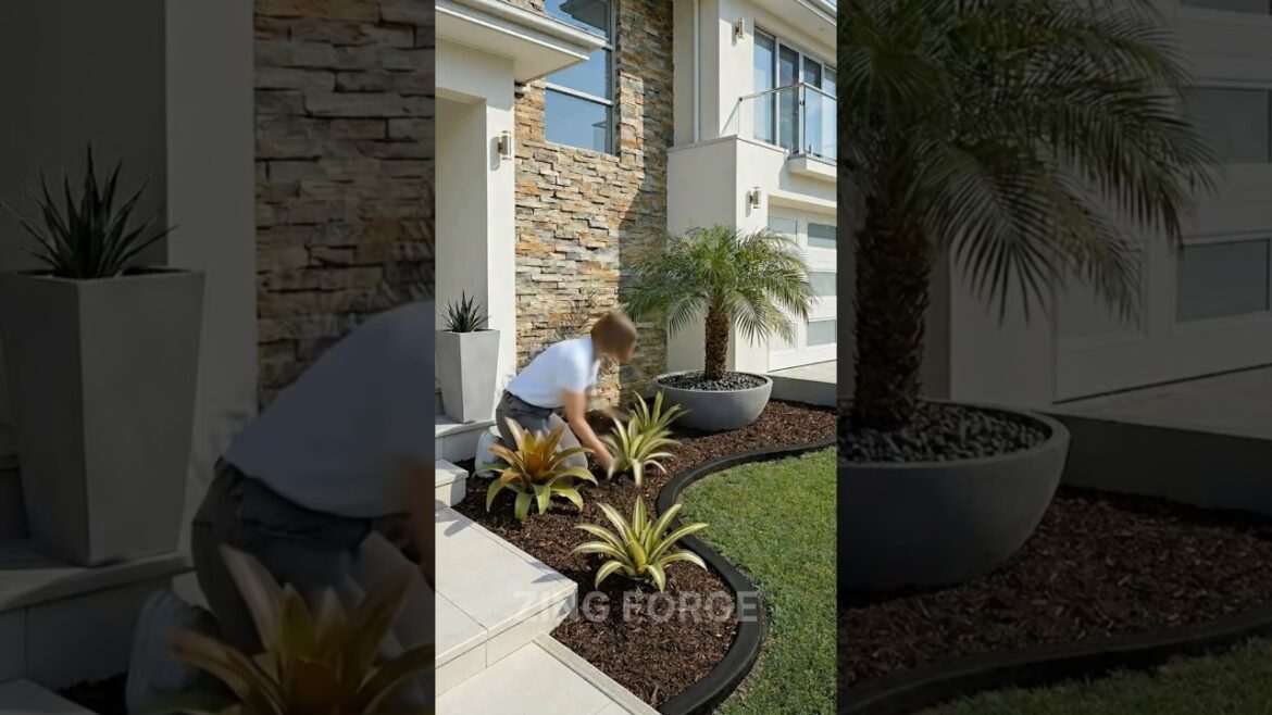 Modern Front Yard Makeover 🌿 #garden #frontyard #landscaping #modernhome #shorts #viral #yard #ai Modern Front Yard Makeover 🌿 #garden #frontyard #landscaping #modernhome #shorts #viral #yard #ai