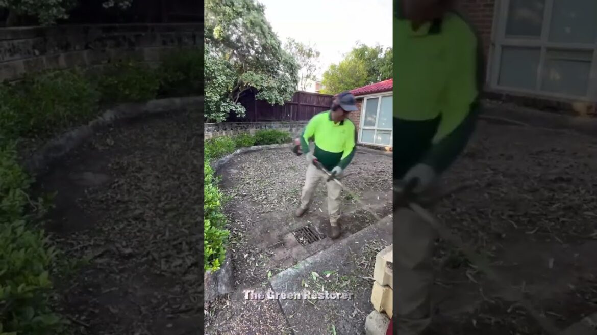 Hedging | Cleaning | Raking | Cutting | Edging #shorts #satisfying #gardening Hedging | Cleaning | Raking | Cutting | Edging #shorts #satisfying #gardening
